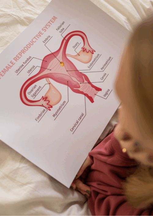 PCOS Polyzistisches Ovar-Syndrom