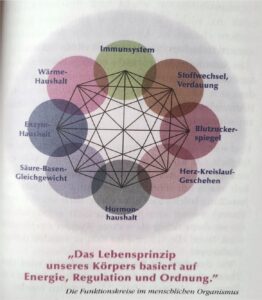 Schutz der Mitochondrien