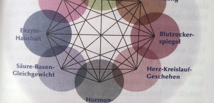 Schutz der Mitochondrien