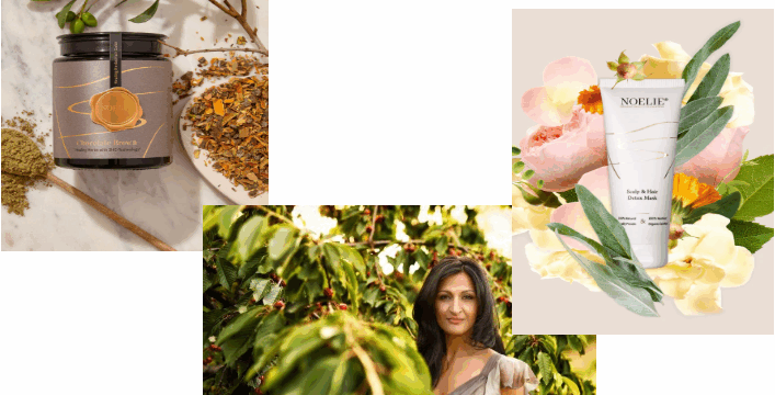 Noelie Pflanzenhaarfarbe