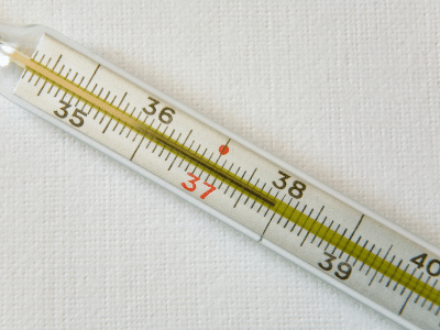 Basaltemperatur Schilddrüse