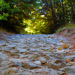 Mein anfangs steiniger Rimkus-Weg