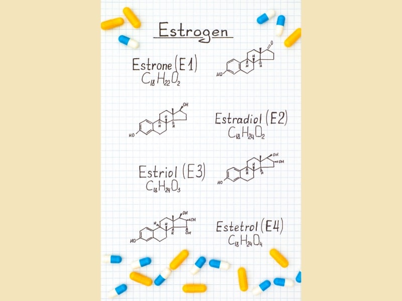 Östrogen: Östron Östradiol Östriol Östetrol